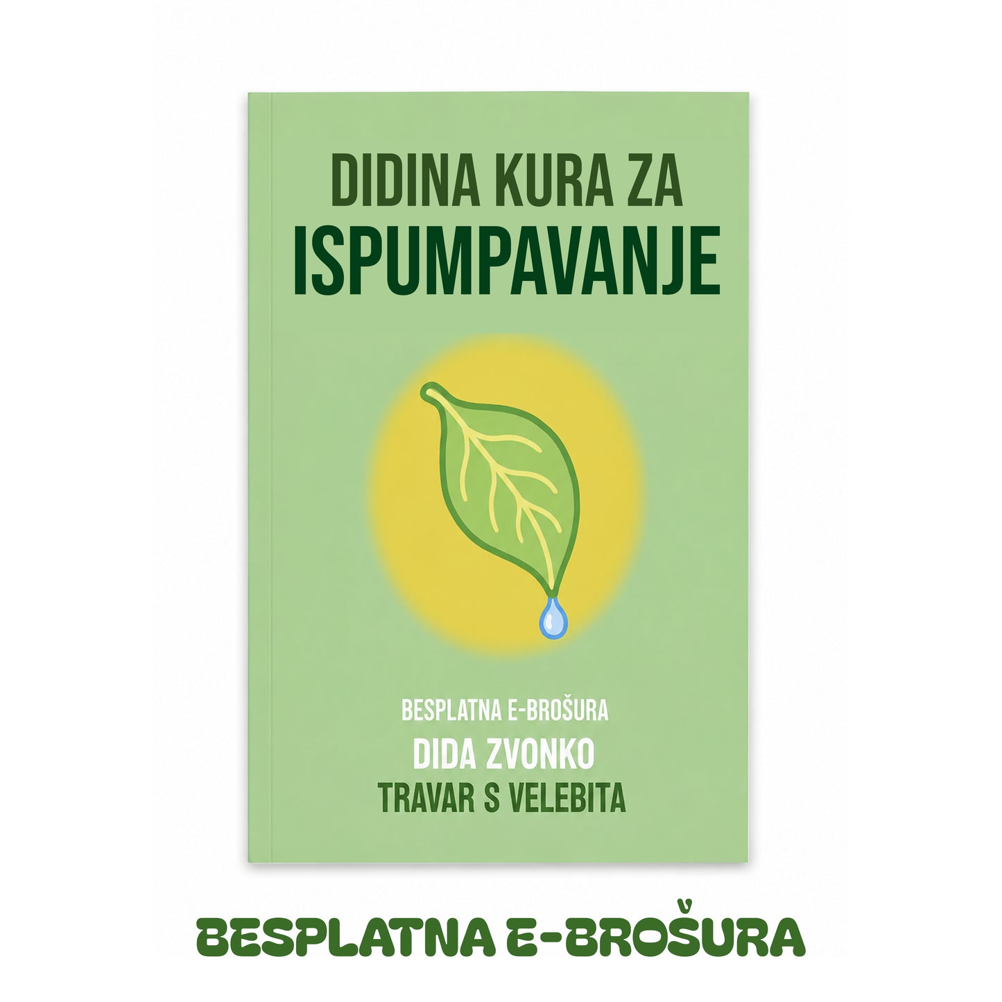 Didina Brošura: Didina Kura za Ispumpavanje