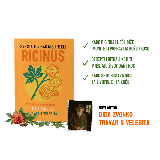 E-KNJIGA, Dida Zvonko: RICINUS