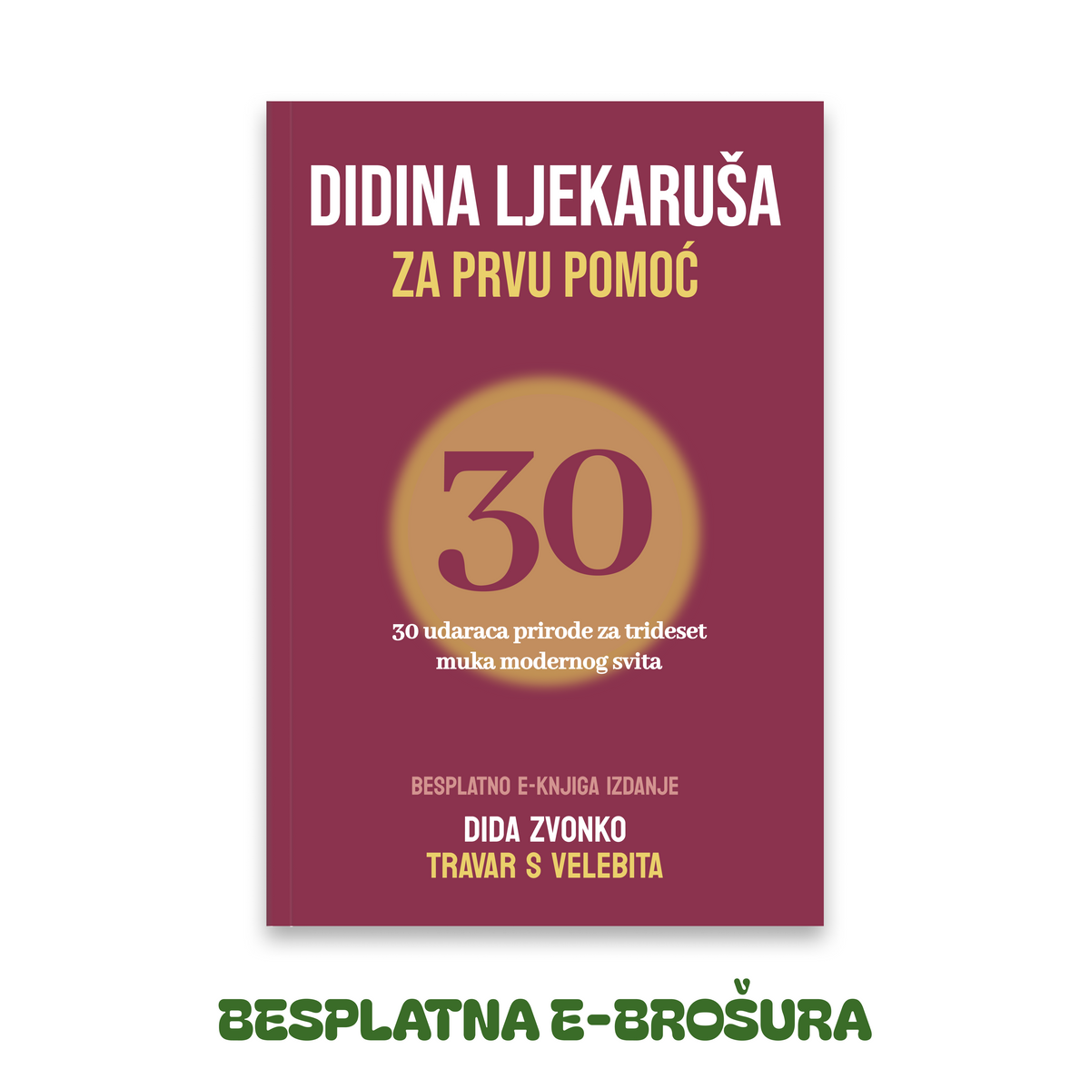 Didina Brošura: Didina Ljekaruša za Prvu Pomoć